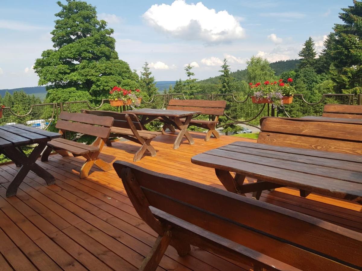 Bialy Potok Bed and Breakfast Zieleniec  Εξωτερικό φωτογραφία