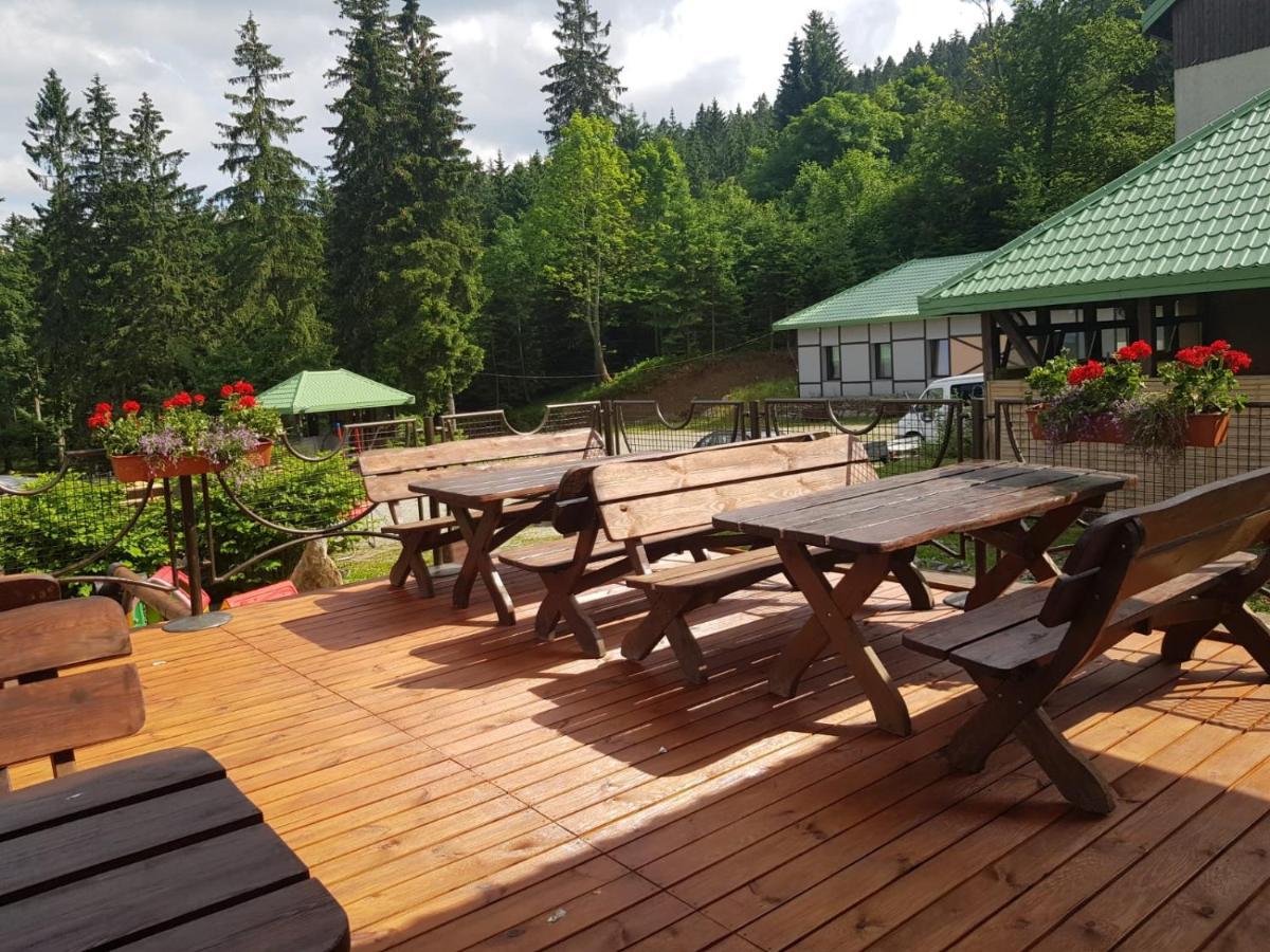 Bialy Potok Bed and Breakfast Zieleniec  Εξωτερικό φωτογραφία