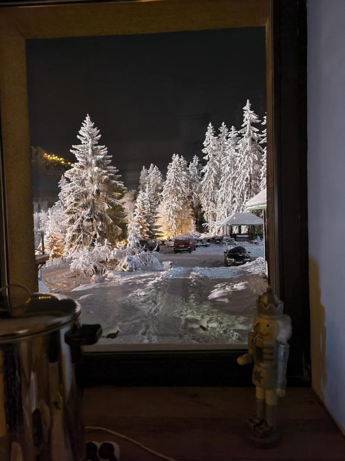 Bialy Potok Bed and Breakfast Zieleniec  Εξωτερικό φωτογραφία