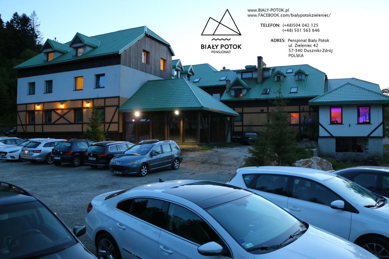 Bialy Potok Bed and Breakfast Zieleniec  Εξωτερικό φωτογραφία
